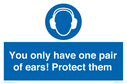mandatory-you-only-have-one-pair-of-ears-protect-them~